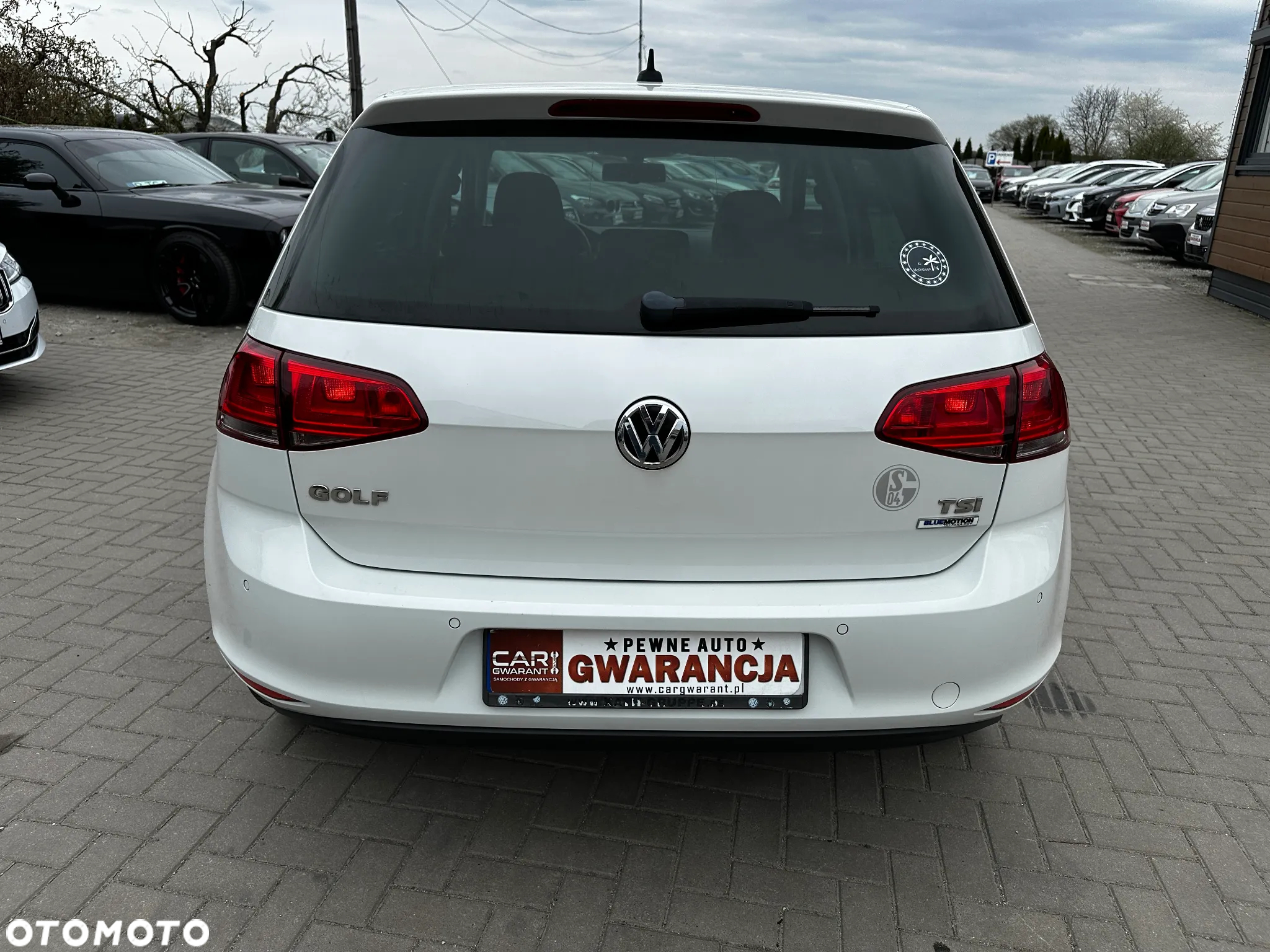 Volkswagen Golf - 36