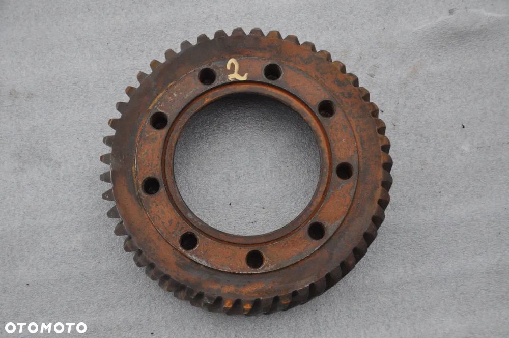 TRYB ZĘBATKA ZWOLNICY MERLO - 1