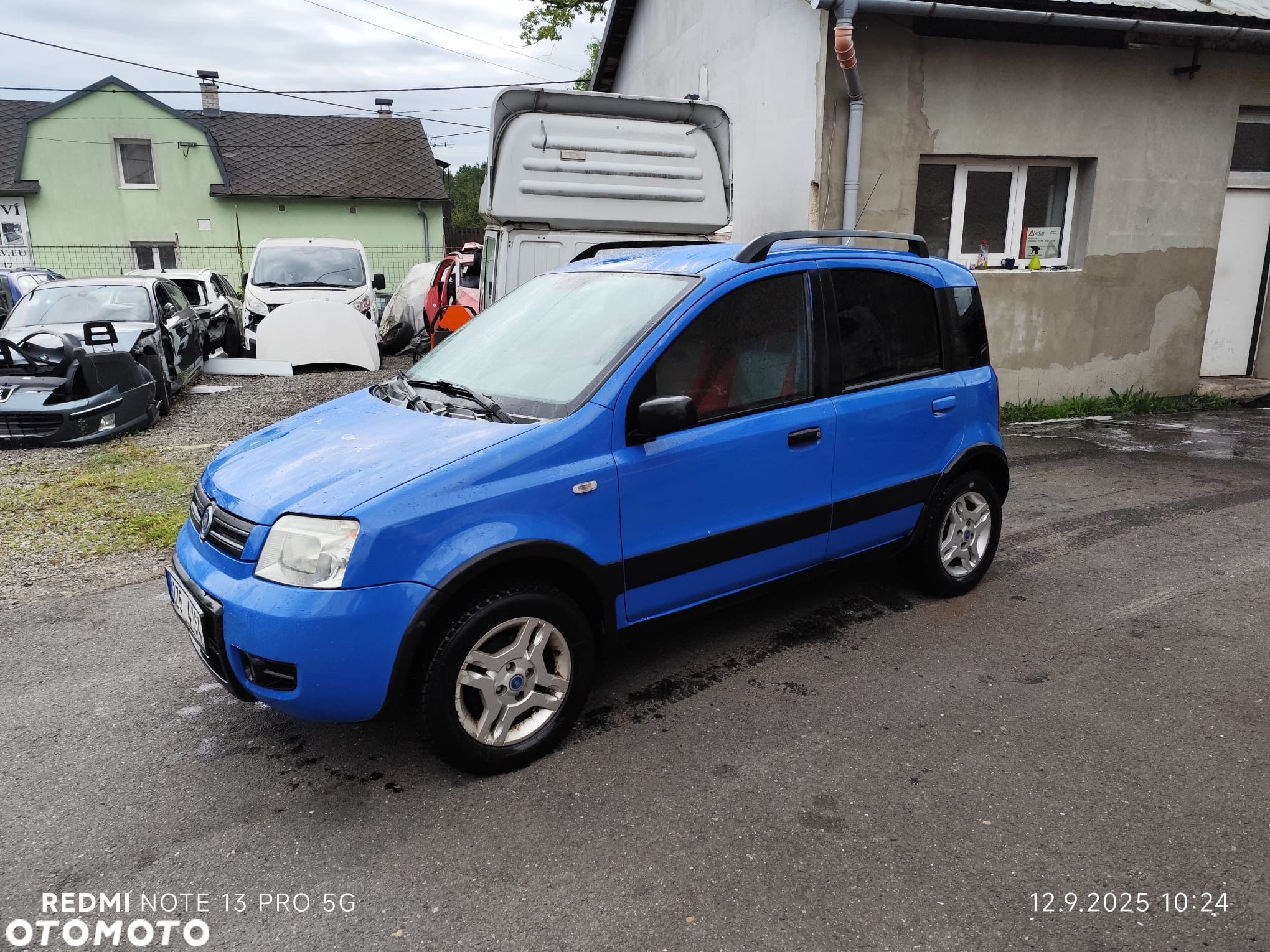 Fiat Panda 1.2 4x4 - 1