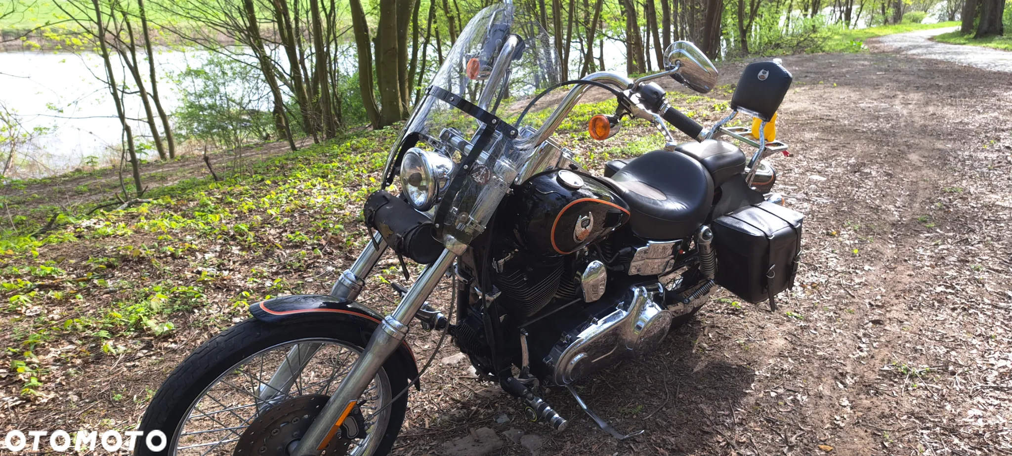 Harley-Davidson Dyna Wide Glide - 4