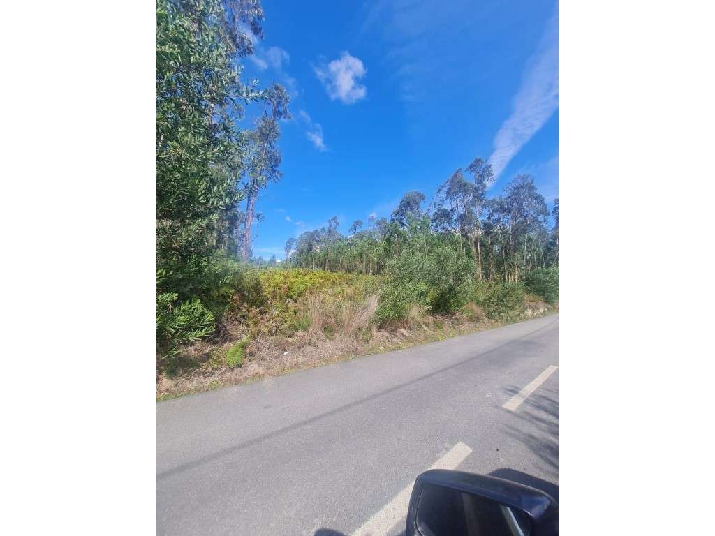 Terreno para construção em Picoto - Oliveirinha - Aveiro - Grande imagem: 2/7