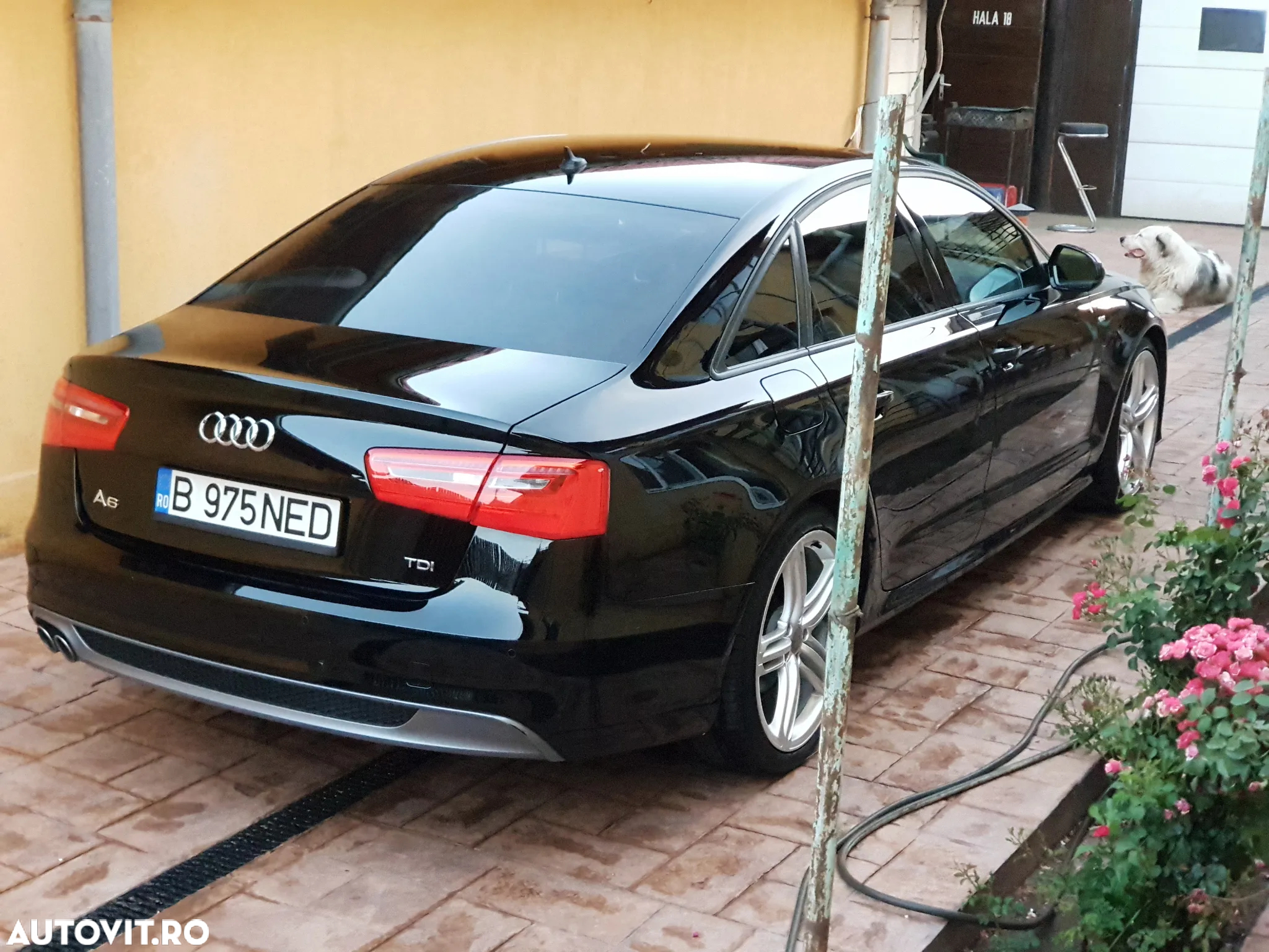 Audi A6 2.0 TDI DPF Multitronic sport selection - 3