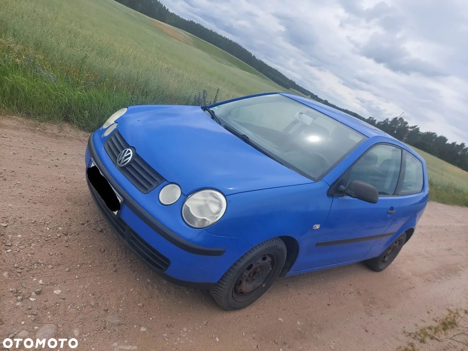 Volkswagen Polo - 1