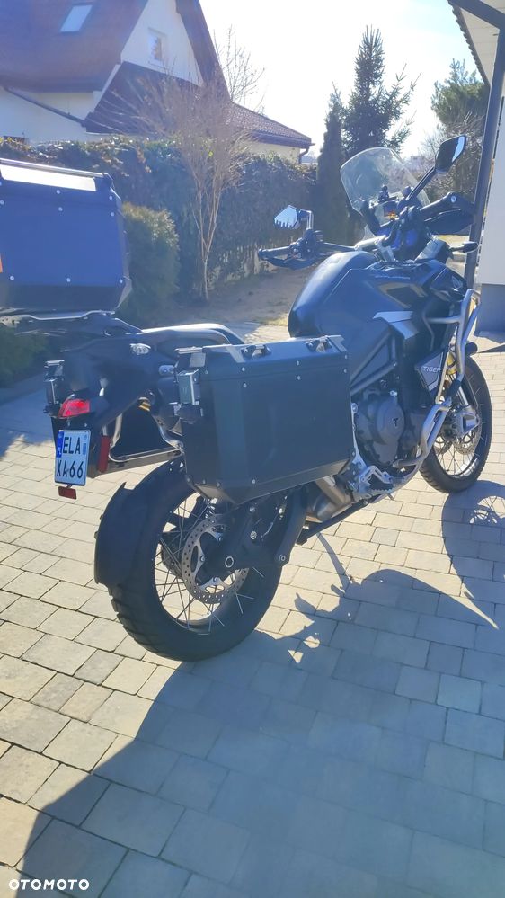 Triumph Tiger - 34
