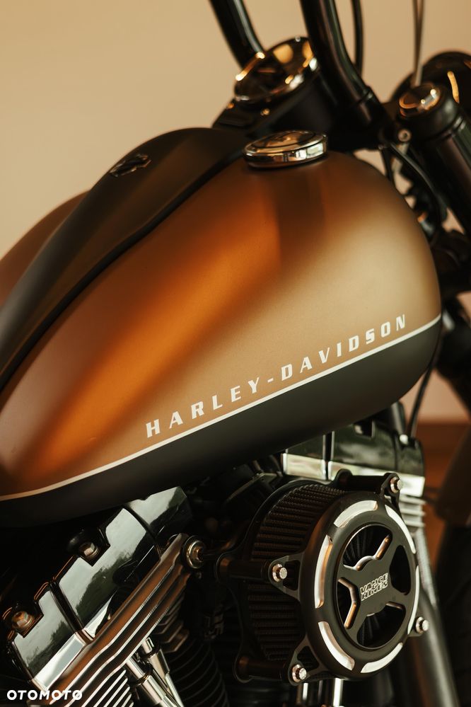 Harley-Davidson Softail Blackline - 10