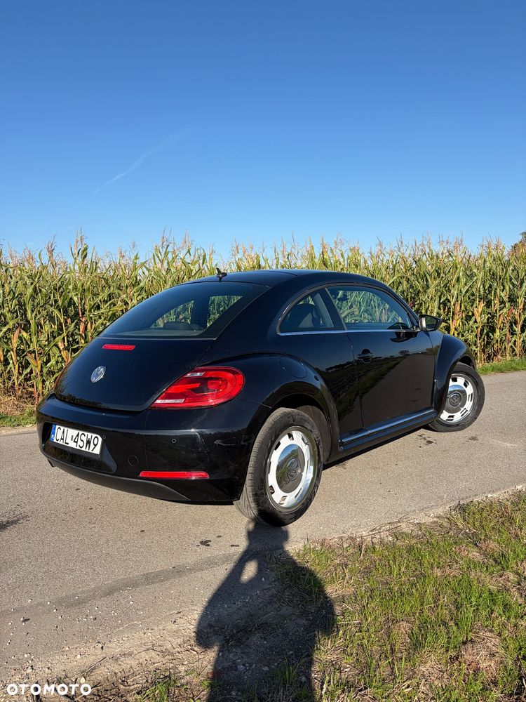 Volkswagen Beetle - 3