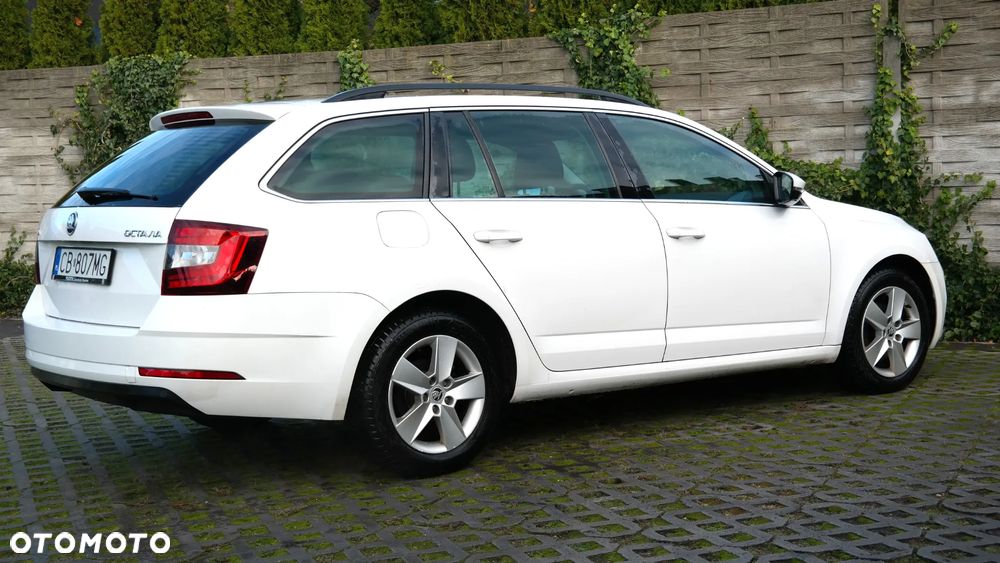 Skoda Octavia 1.4 TSI Ambition - 14