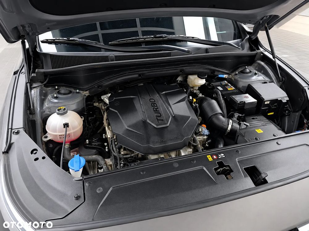 Hyundai Santa Fe - 18