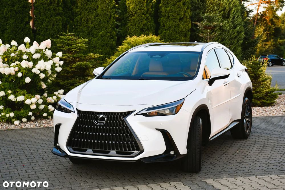 Lexus NX - 2