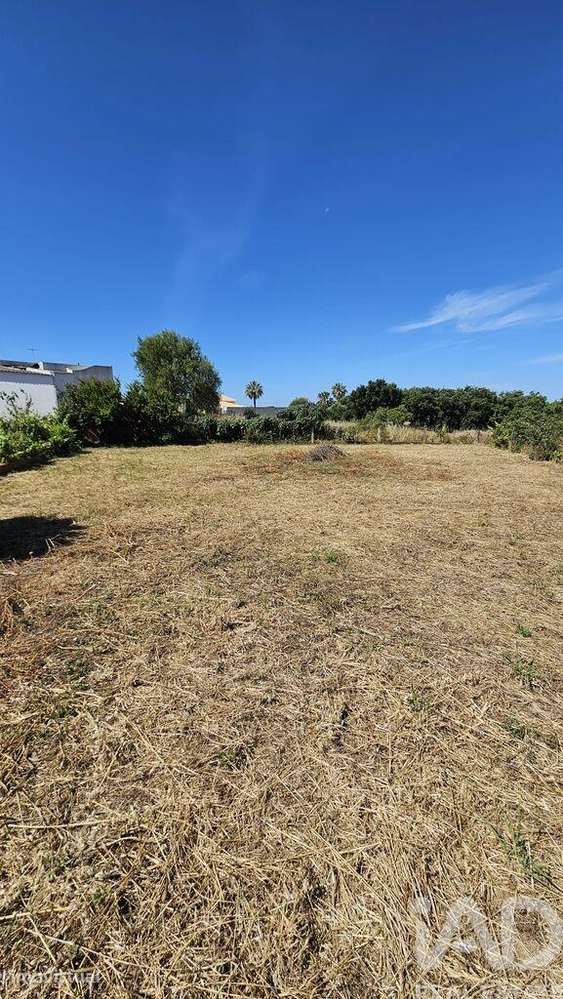 Terreno em Almancil de 1265,00 m2 - Grande imagem: 4/7