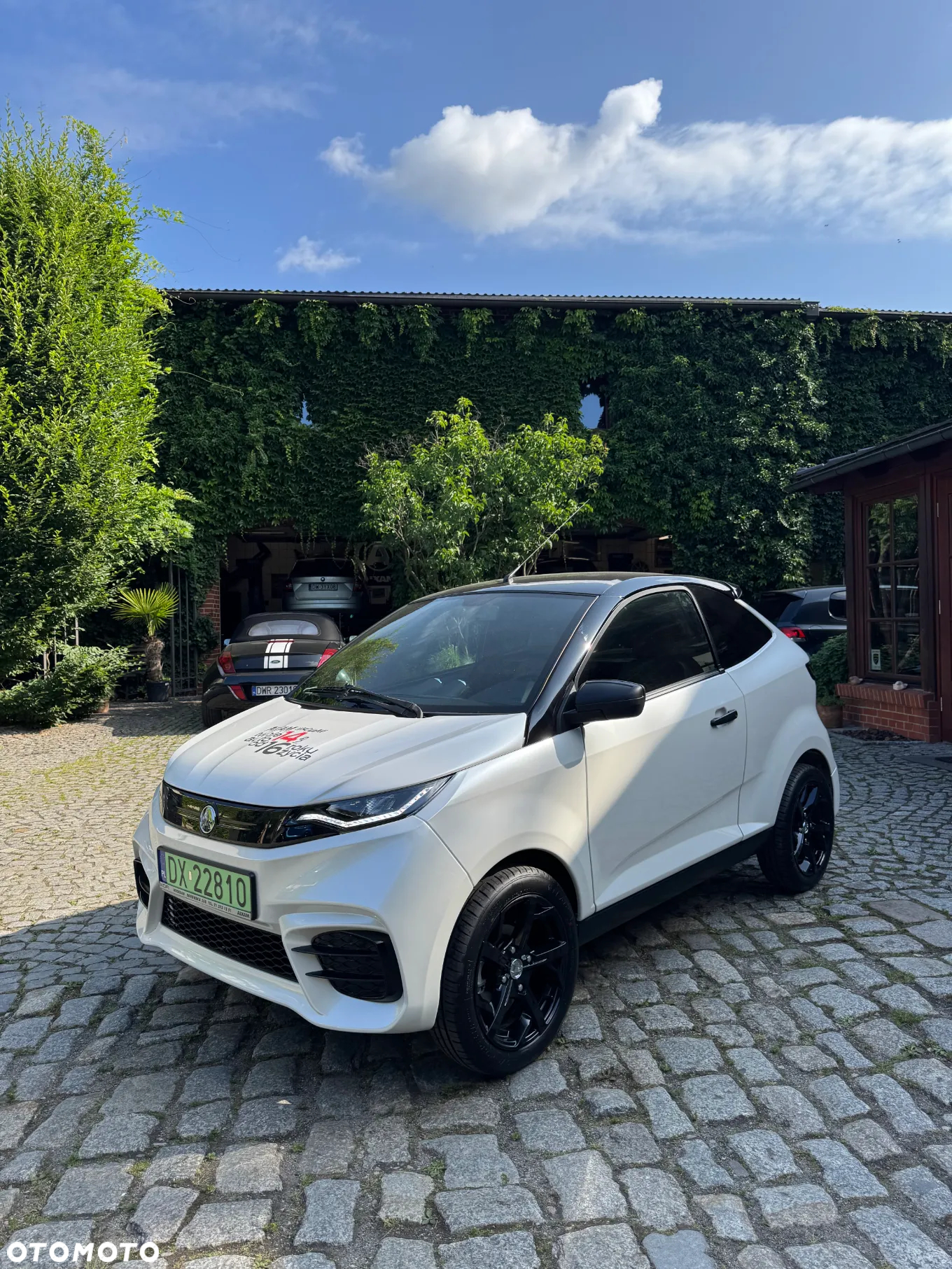 Aixam Coupe - 17