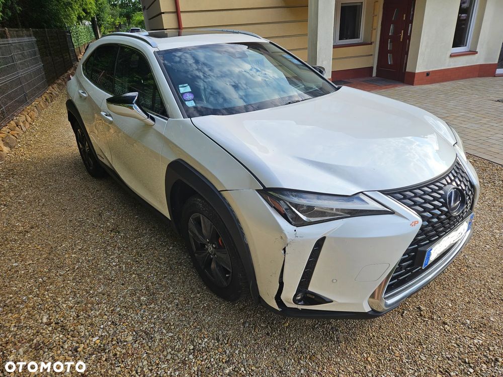 Lexus UX 250h (E-FOUR) Luxury Line - 1