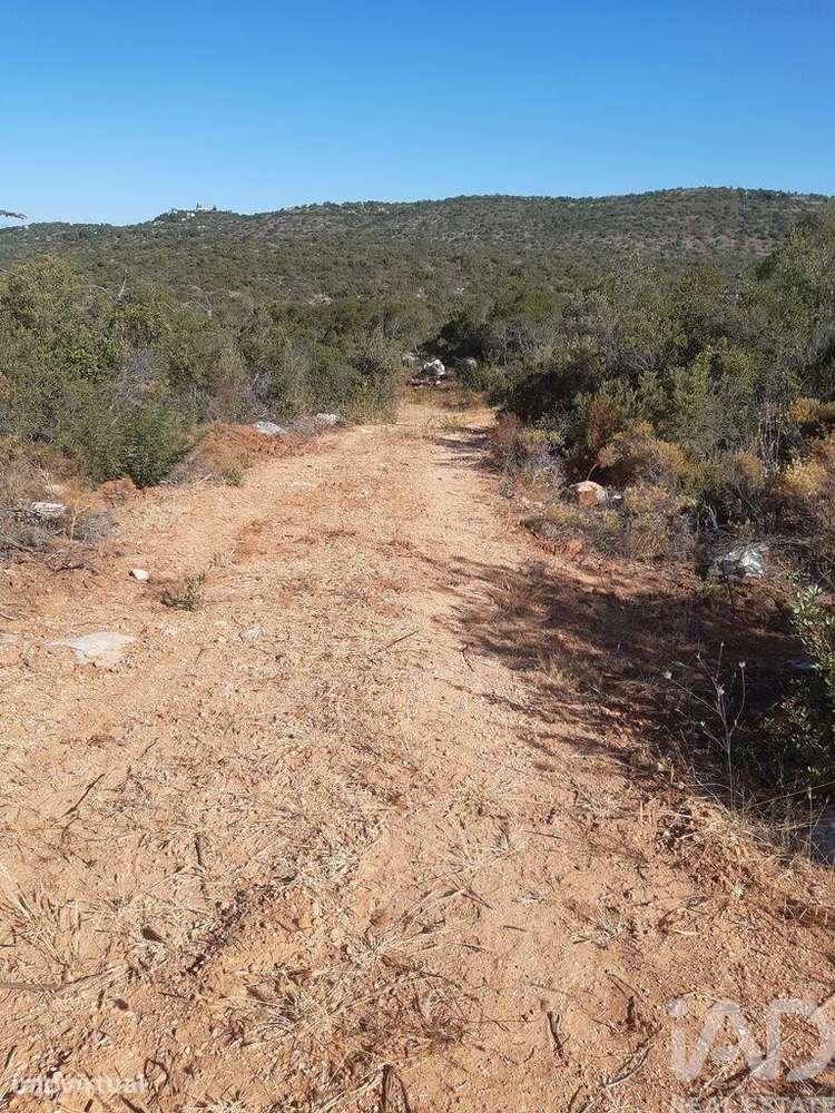Terreno Agrícola em Paderne - Grande imagem: 4/9