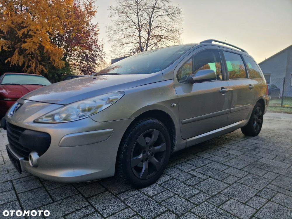 Peugeot 307 - 23