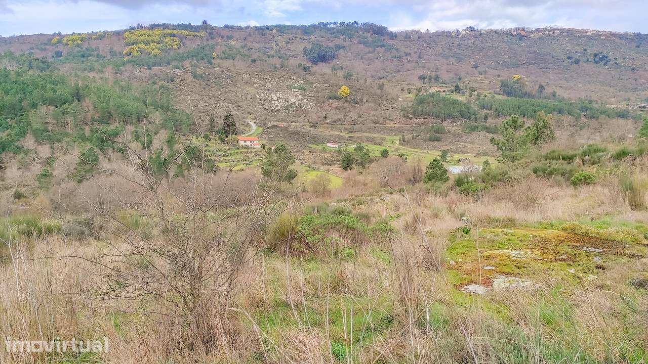 Quinta em aldeia entre Viseu e a Guarda - Grande imagem: 2/20