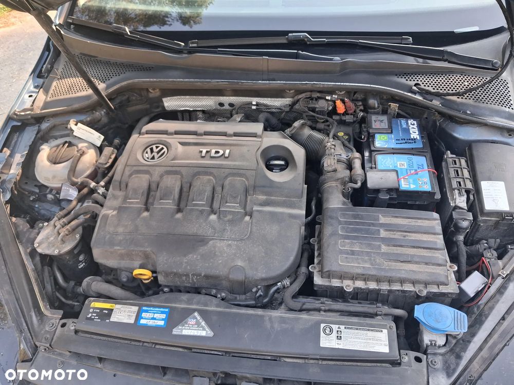 Volkswagen Golf - 18