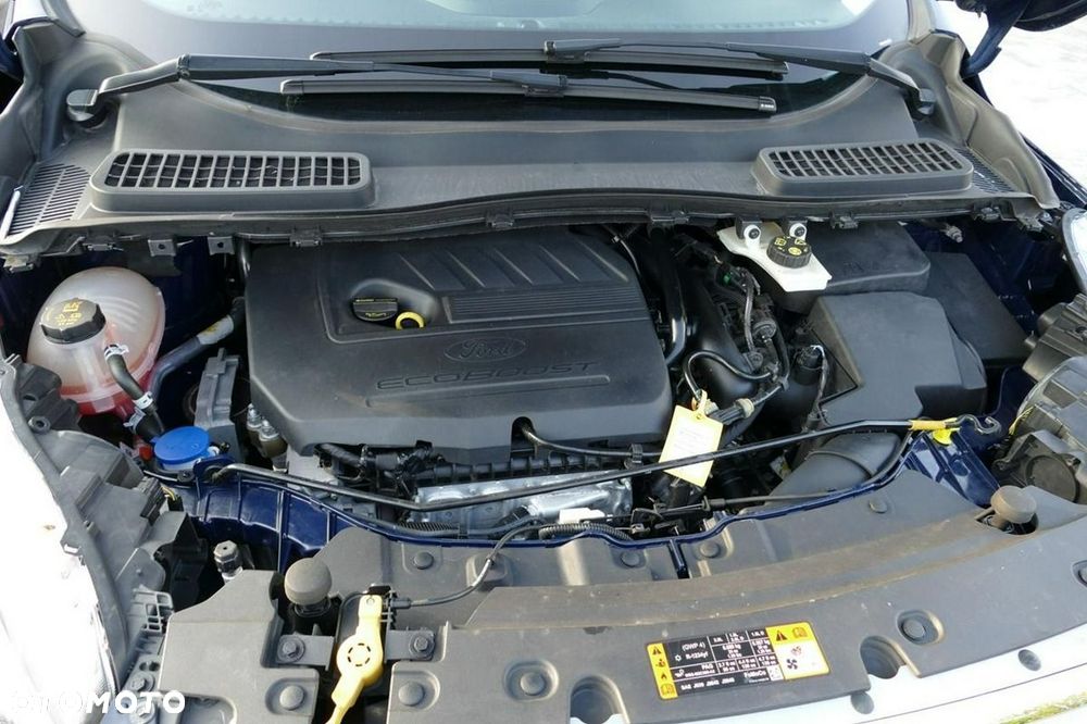 Ford Kuga 2019