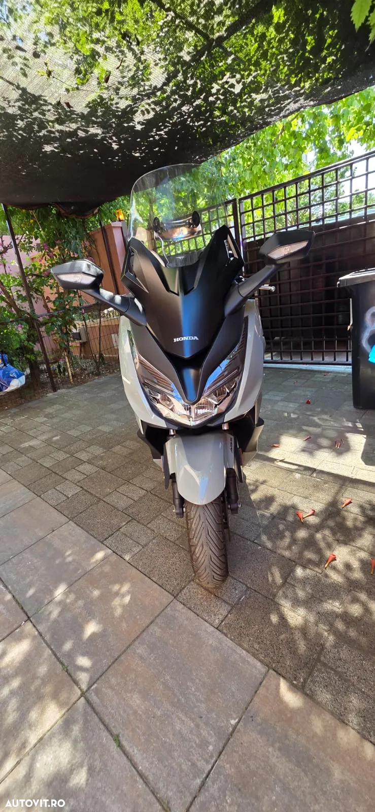 Honda Forza 350 - 5