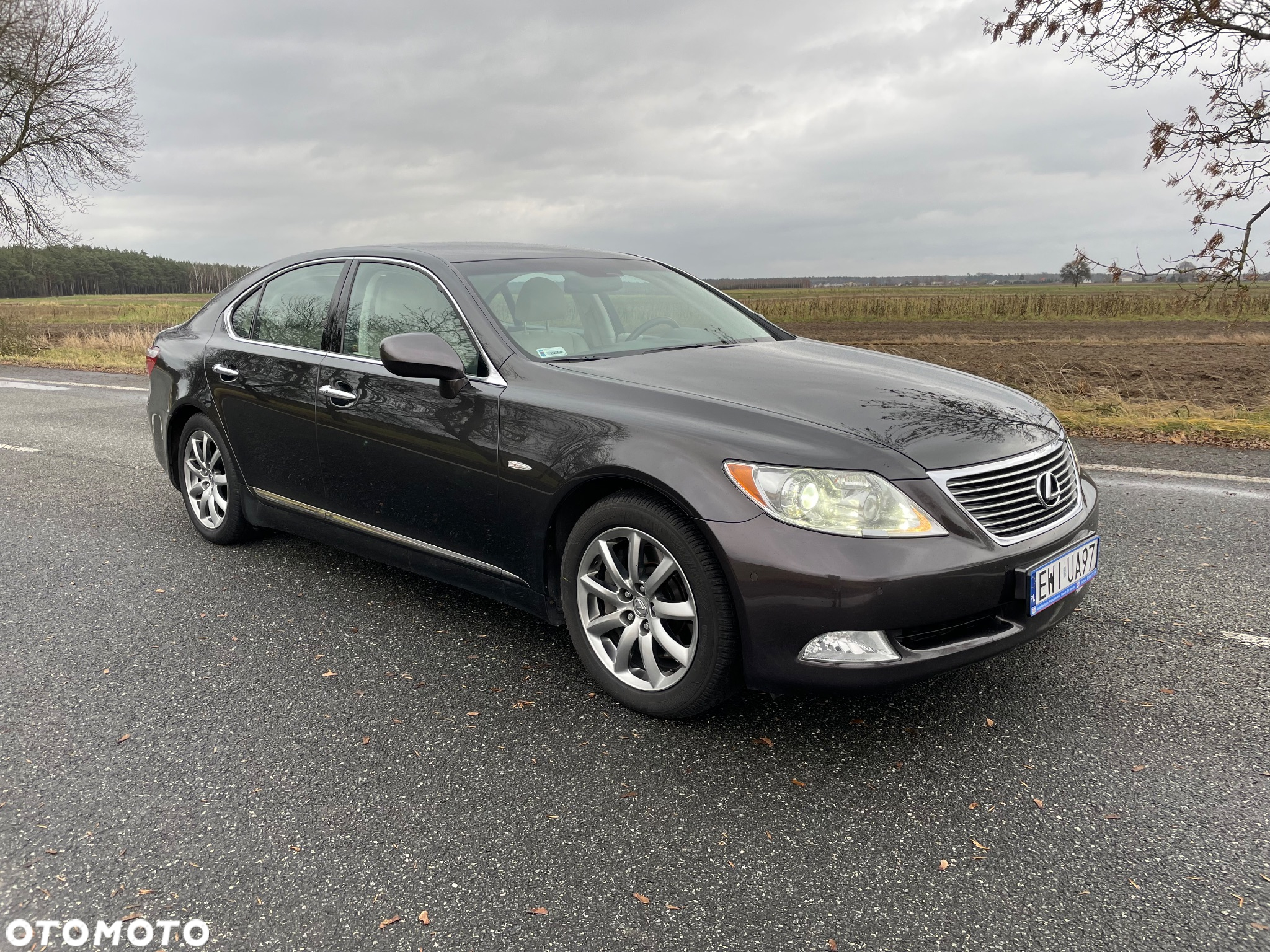 Lexus LS 460 Prestige - 8