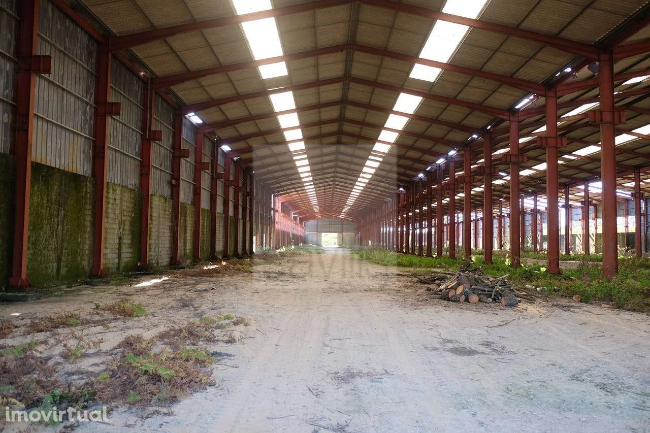 Terreno - Land, Viana do Castelo - Grande imagem: 3/4