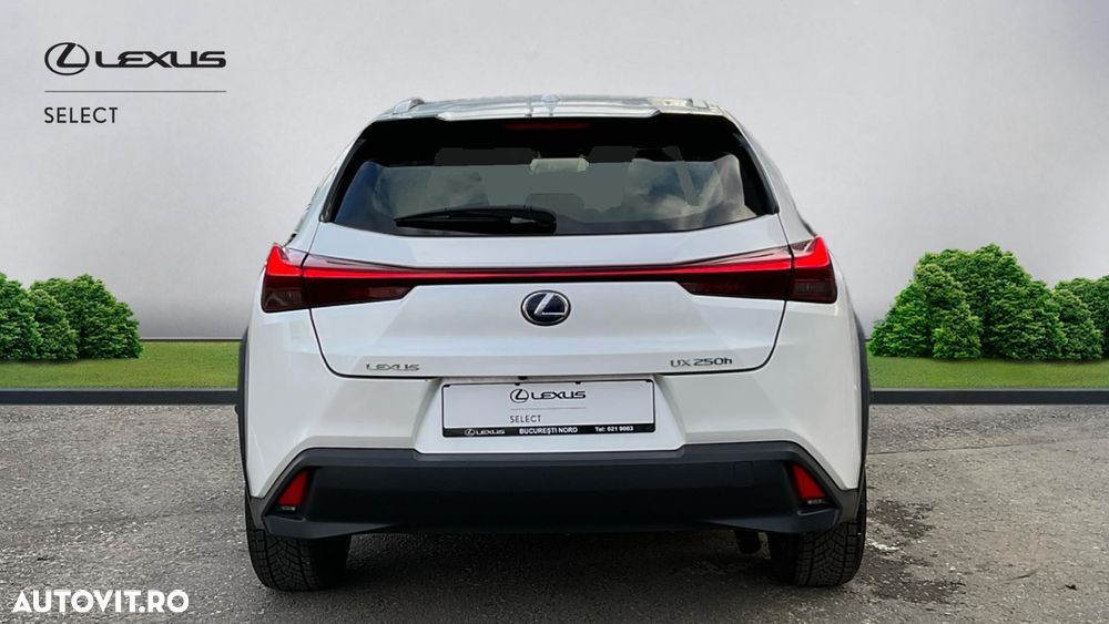 Lexus UX 250h FWD Business - 8
