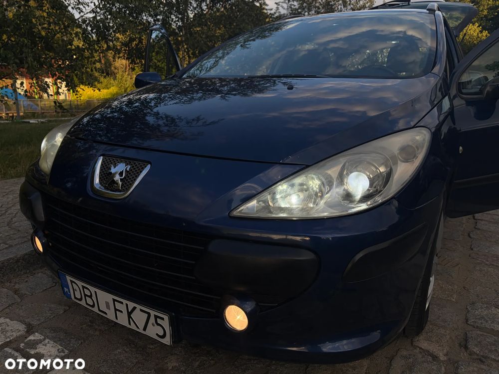 Peugeot 307 - 22