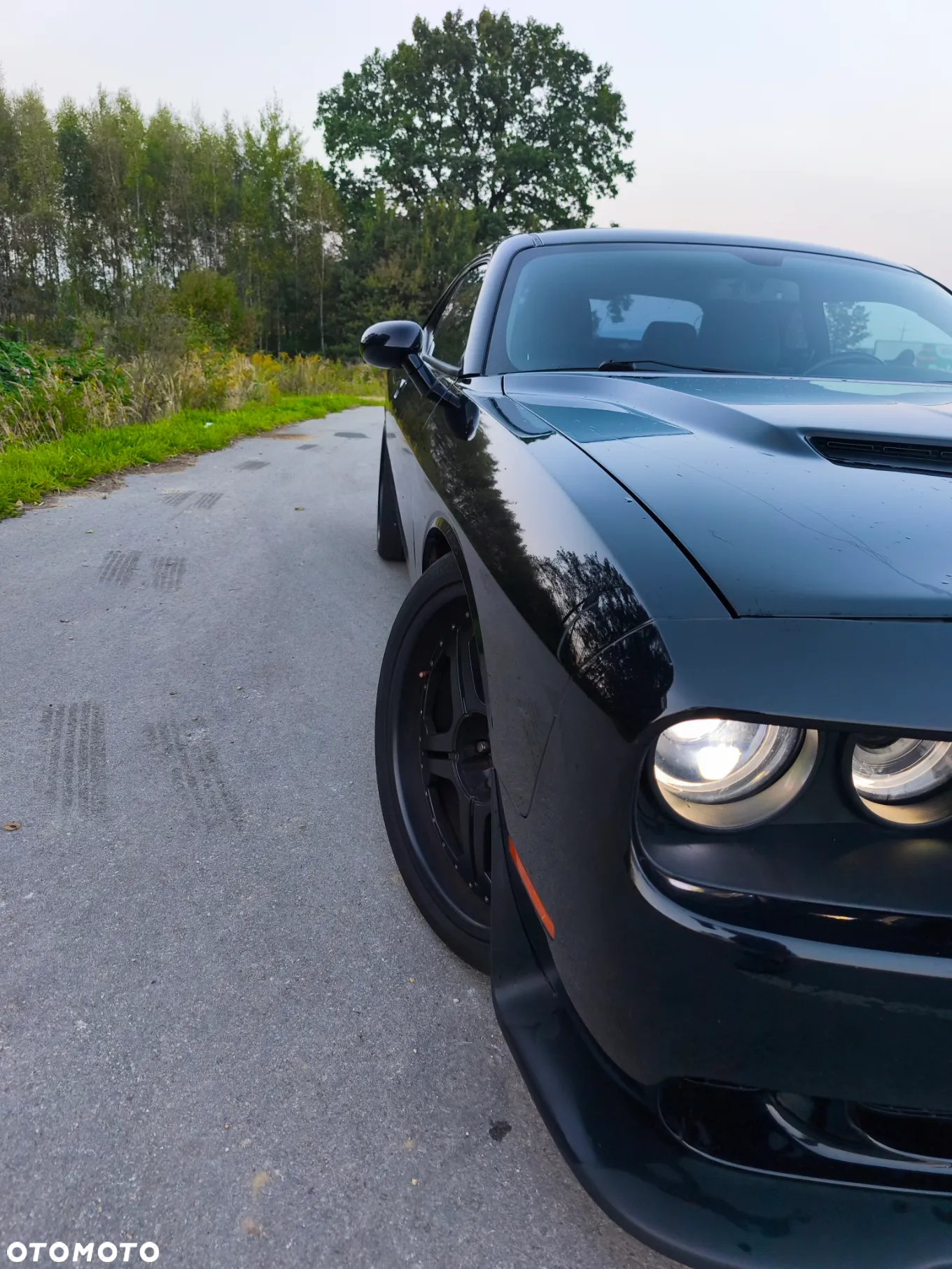 Dodge Challenger - 21