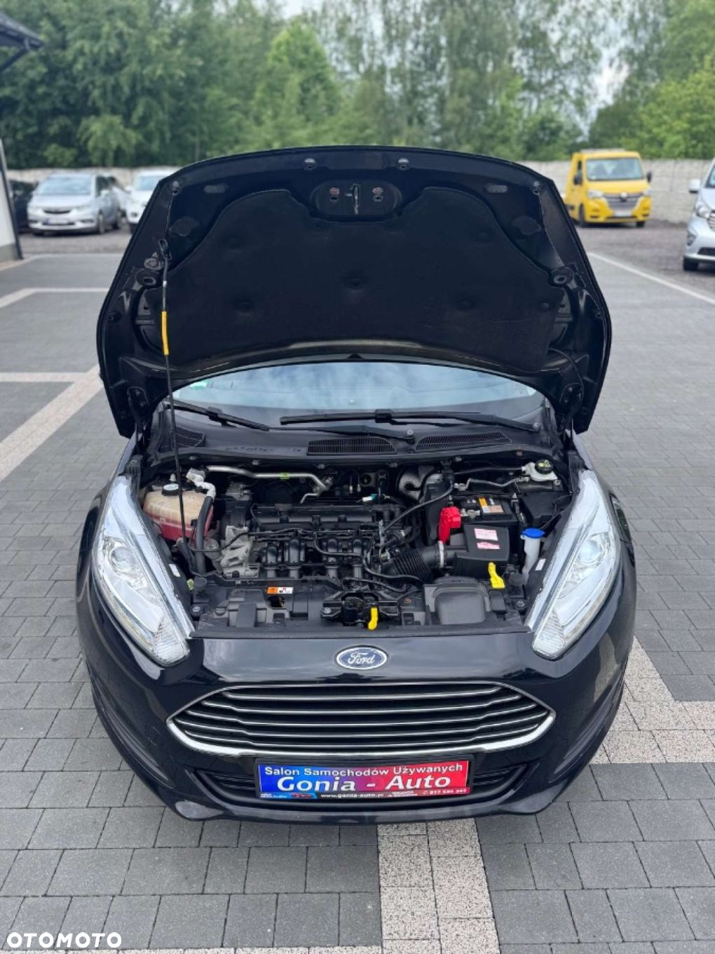 Ford Fiesta - 14