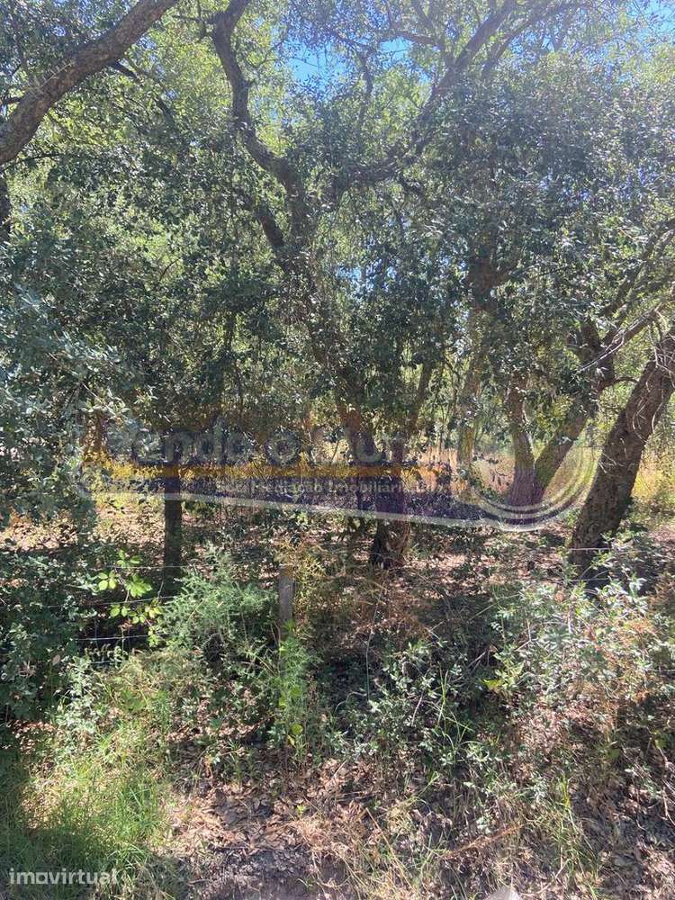 Terreno em Foros de Salvaterra (F842) - Grande imagem: 3/7