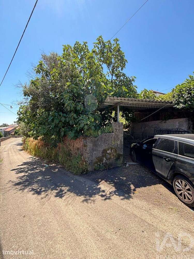 Terreno para construção em Proença-a-Nova e Peral - Grande imagem: 3/10