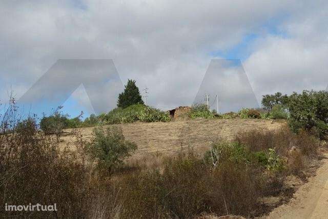 MONTE BRANCO DA VINHA COM POSSIBILIDADE DE CONSTRUÇÃO - SANTANA DA SER - Grande imagem: 5/14
