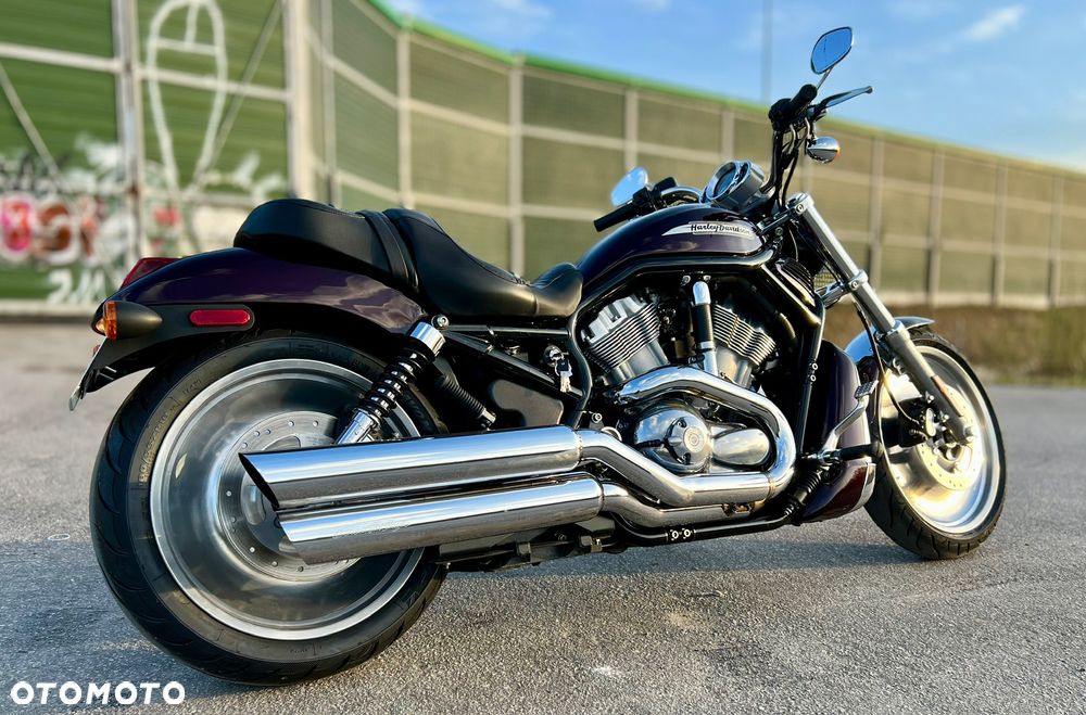 Harley-Davidson V-Rod Street Rod - 5