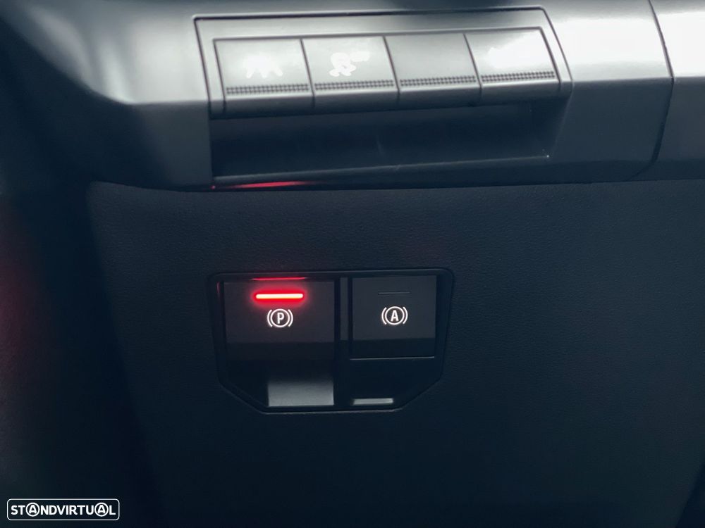 Renault Mégane - 19