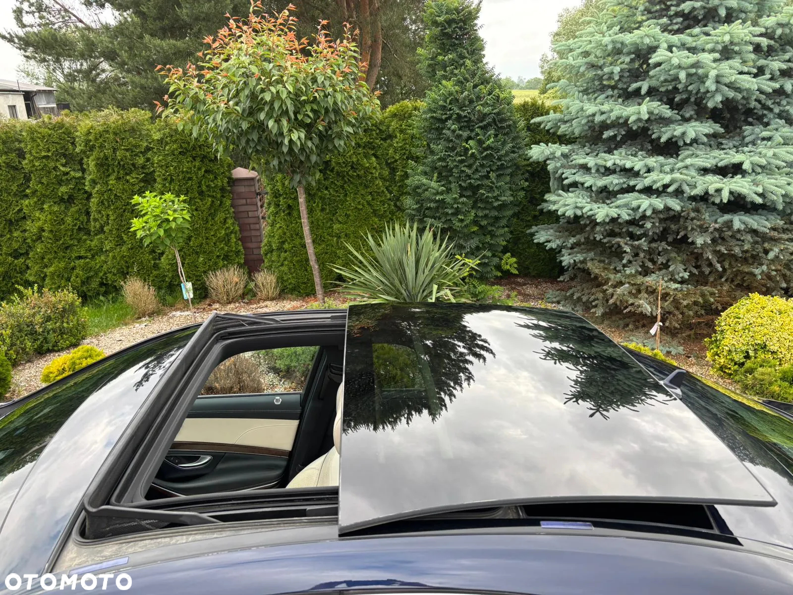 Mercedes-Benz Klasa S 350 (BlueTEC) d 4-Matic 7G-TRONIC - 10