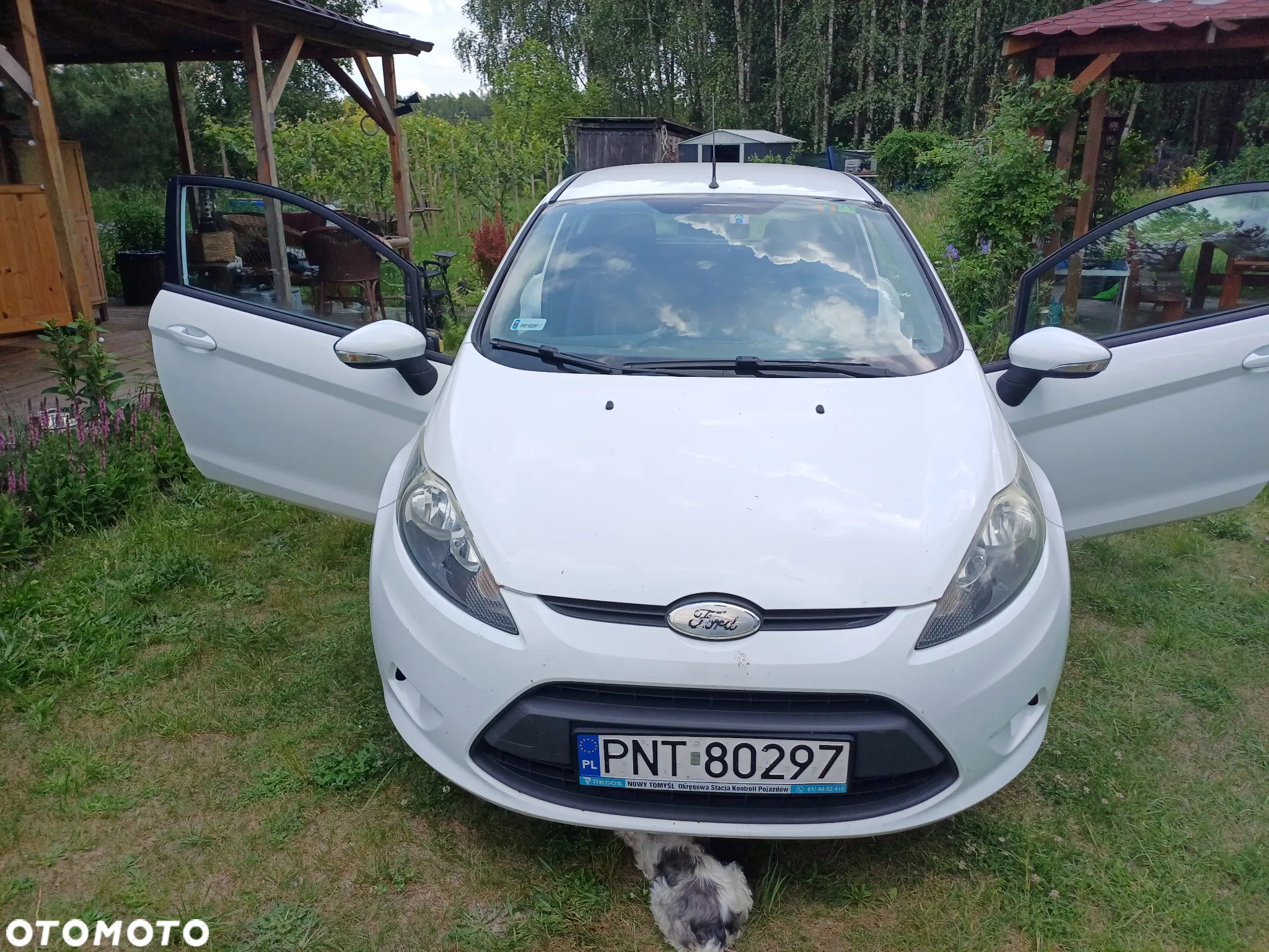 Ford Fiesta - 2