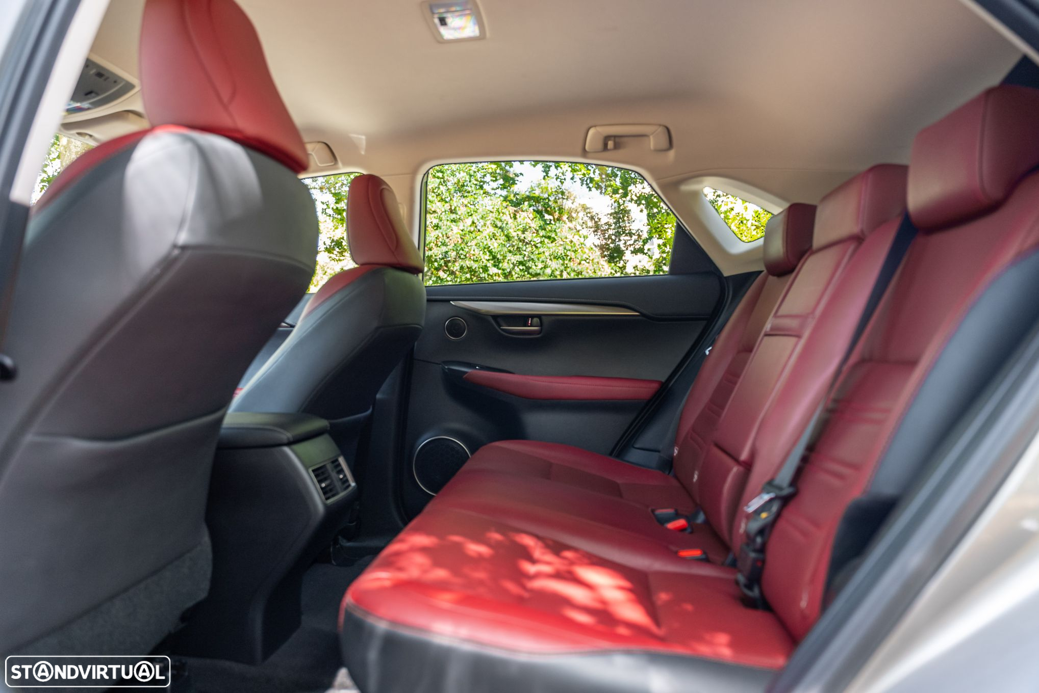 Lexus NX 300h - 20