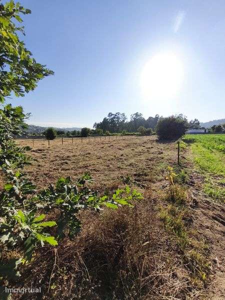 Terreno Urbano em Sezures - Grande imagem: 5/6