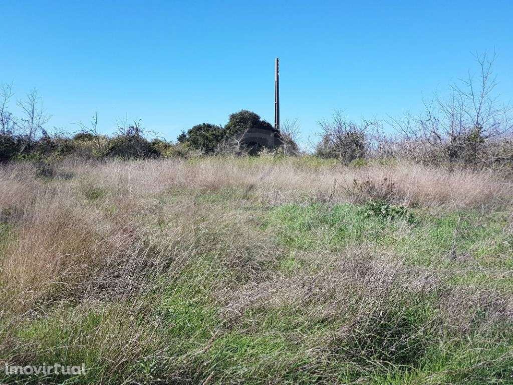 Terreno Rústico junto A16 - Grande imagem: 3/4