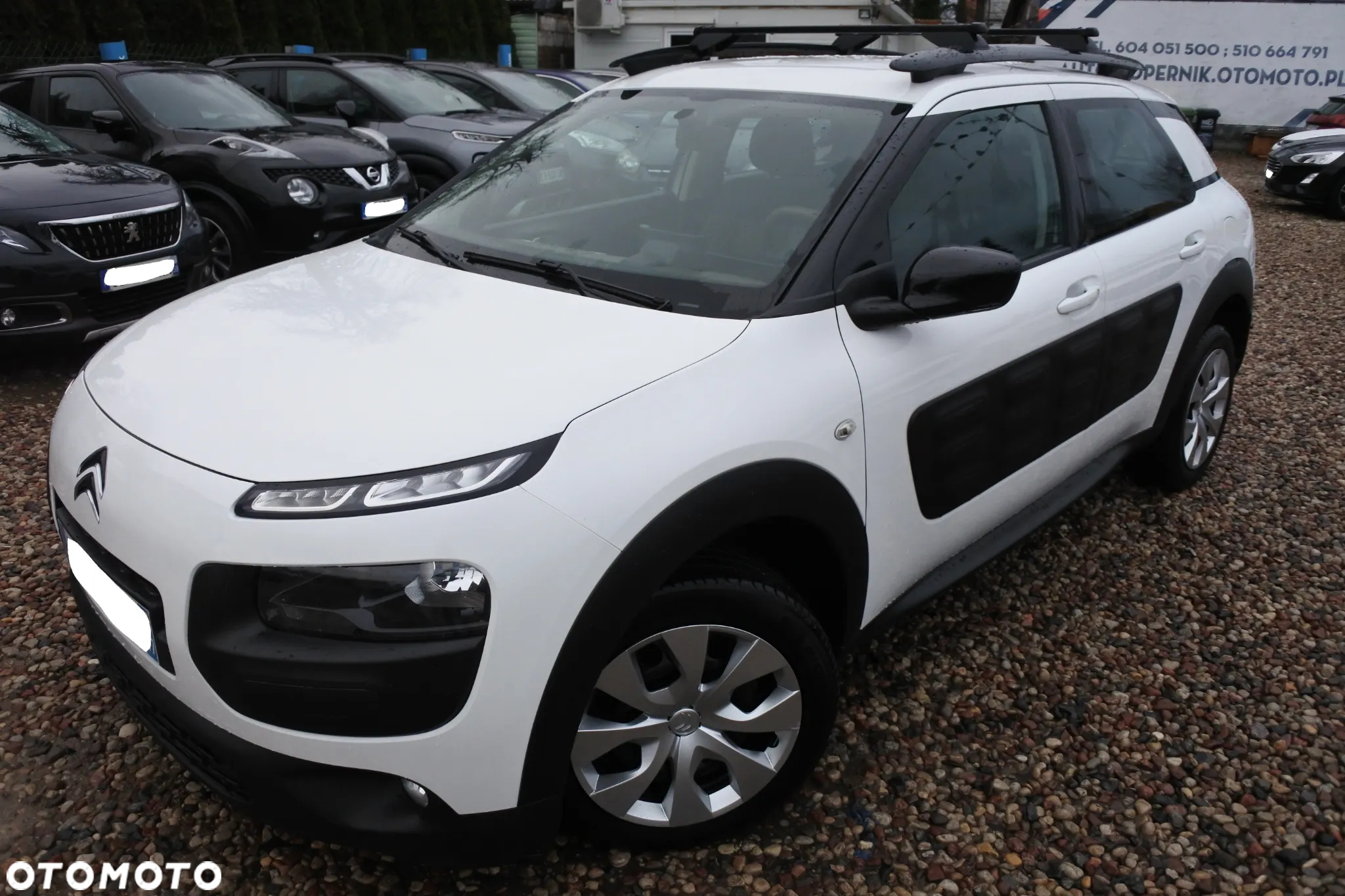 Citroën C4 Cactus PureTech 110 Stop&Start Origins - 2
