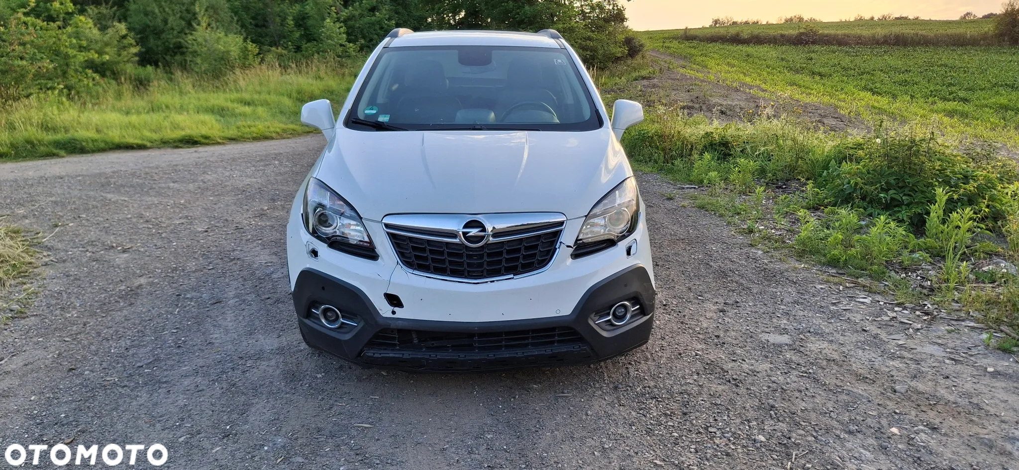 Opel Mokka 1.6 CDTI Cosmo S&S - 7