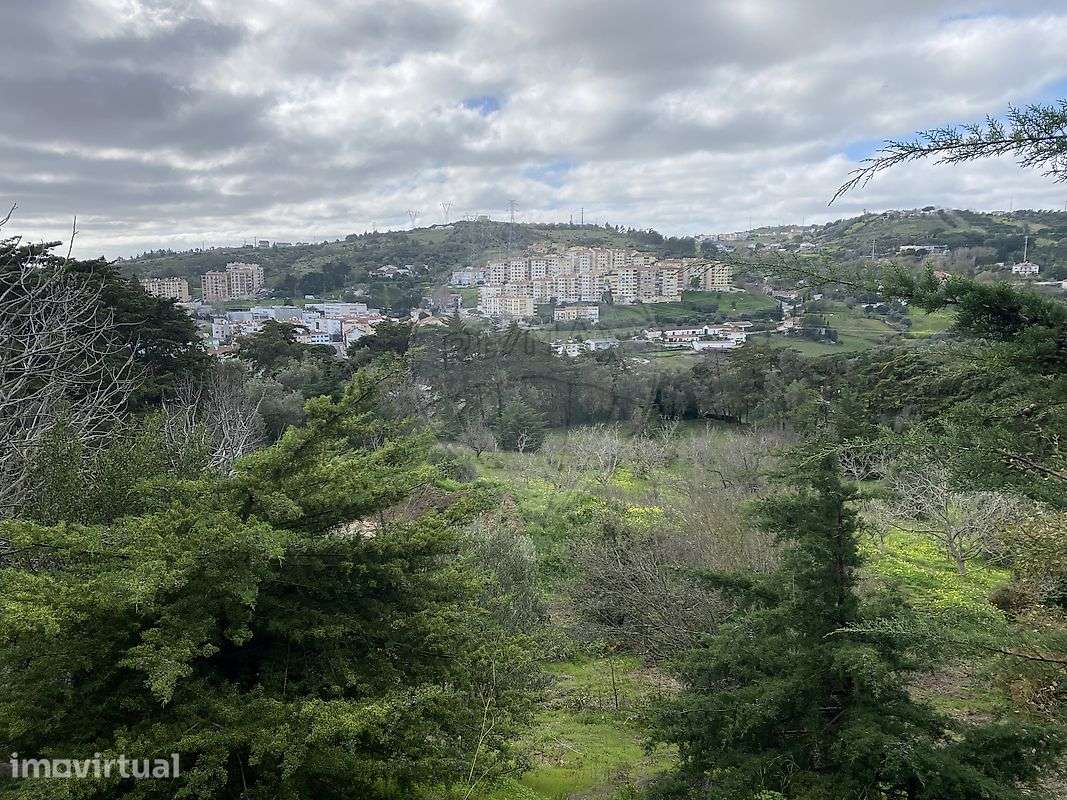 Terreno  para venda - Grande imagem: 4/6
