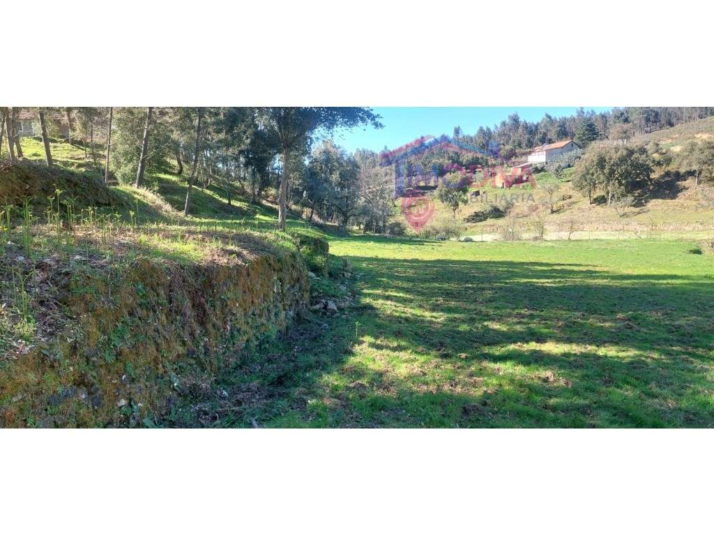 Propriedade com 3 hectares - Grande imagem: 4/36