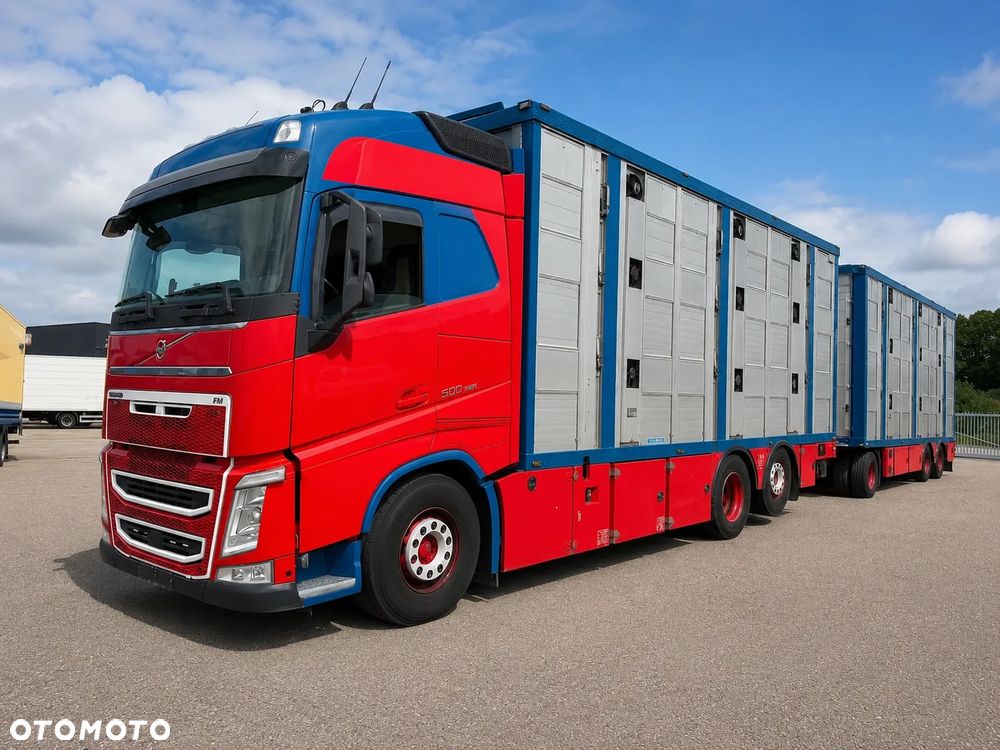 Volvo FH 500 GLOBETROTTER XL 6x2 | MENKE 3-POZIOMY | KOMPLETNY ZESTAW DO TRANSPORTU ZWIERZĄT - 1