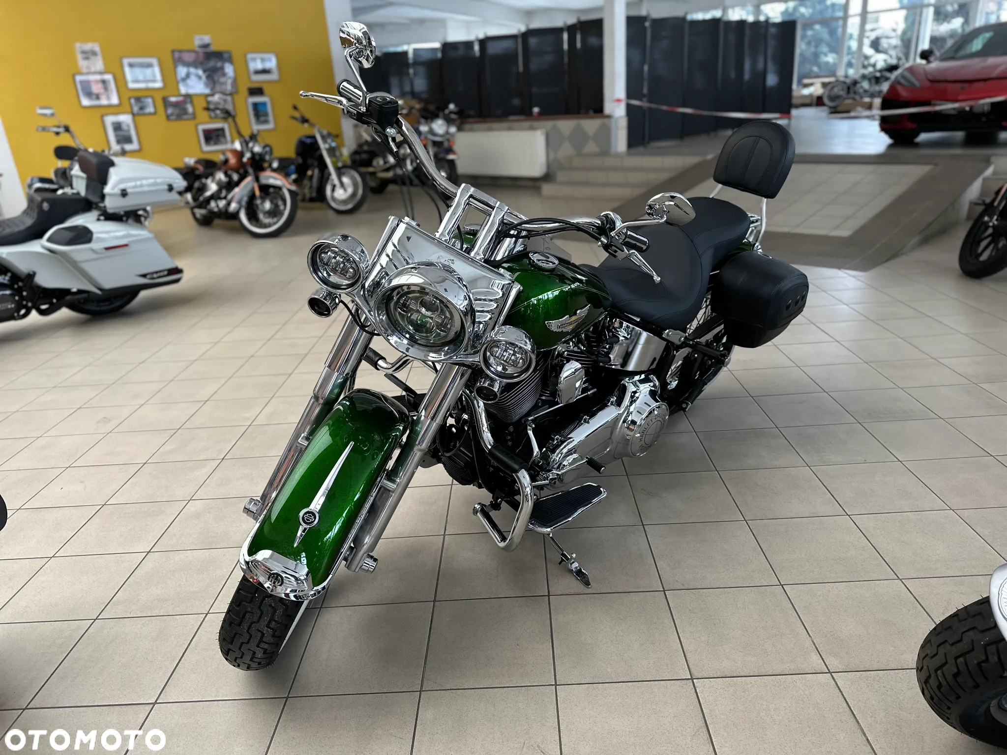 Harley-Davidson Softail - 5