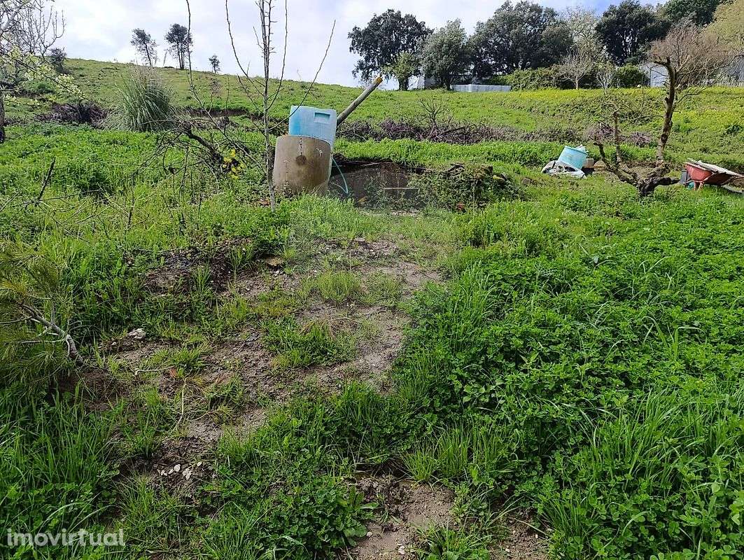 Terreno  para venda - Grande imagem: 3/5