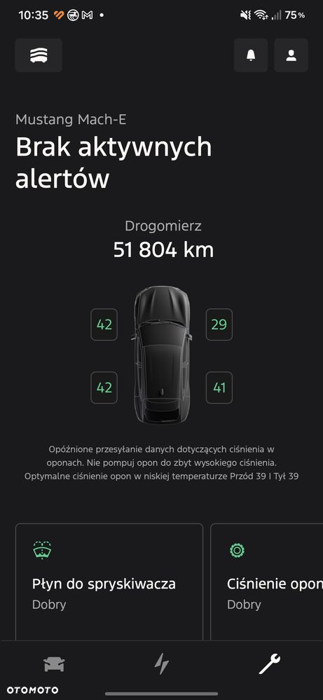 Ford Mustang Mach-E 91 kWh AWD GT - 20