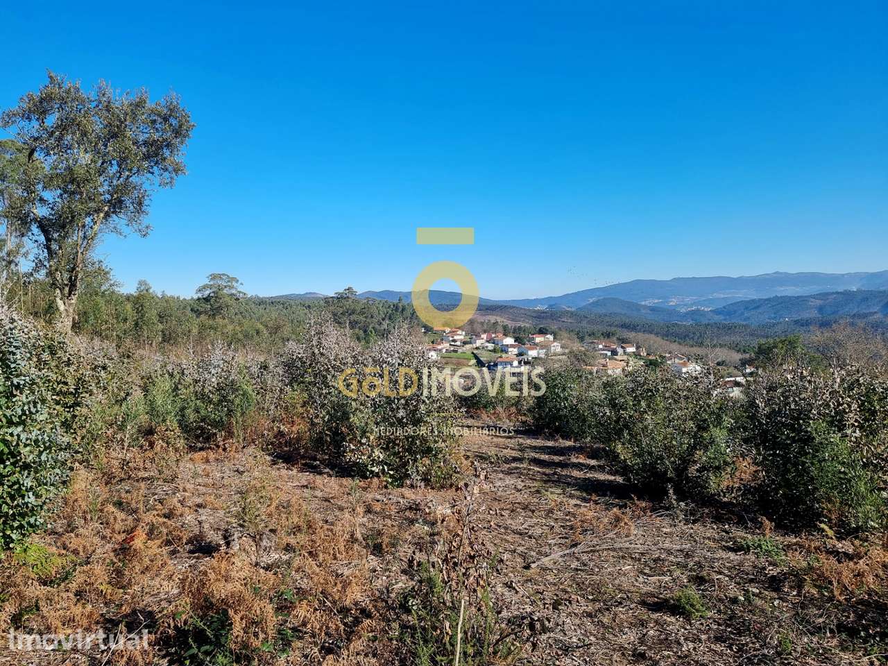 Terreno Urbano  Venda em Pinheiro da Bemposta, Travanca e Palmaz,Olive - Grande imagem: 5/21