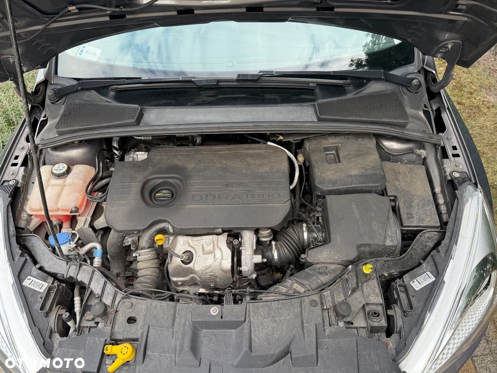 Ford Focus - 7