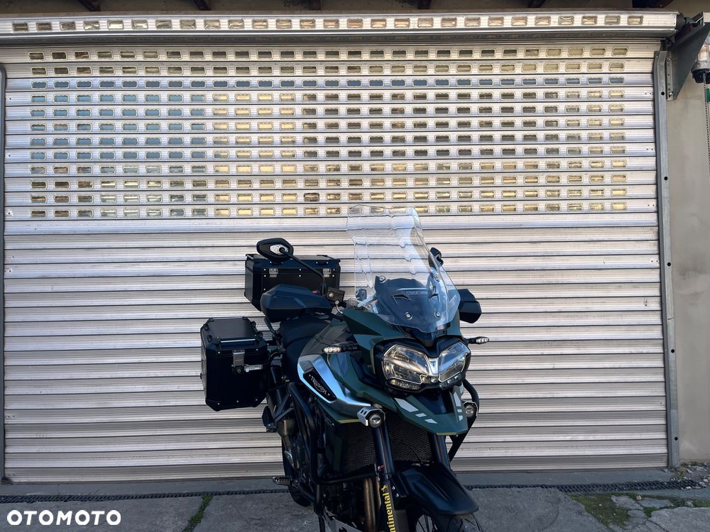 Triumph Tiger - 17