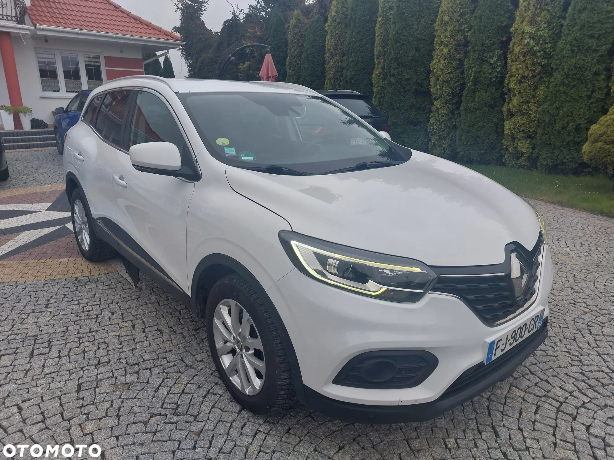 Renault Kadjar BLUE dCi 115 EDC BUSINESS EDITION - 3